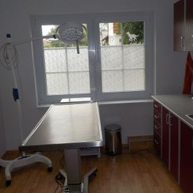 Tierarzt Türck Praxis Impressionen